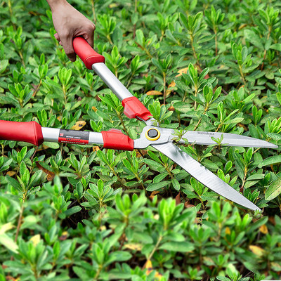 园艺剪刀选购指南 打造理想园林的得力助手