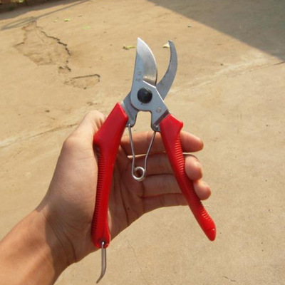 筑梦花园 园林工具的艺术与匠心